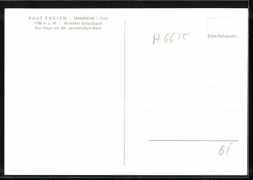 AK Tannheim / Tirol, Hotel-Pension Haus Enzian