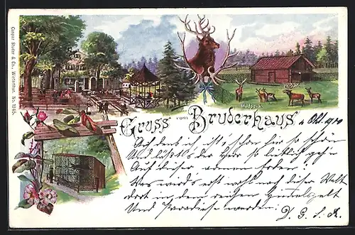 AK Winterthur, Wildpark Bruderhaus