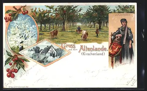 Lithographie Altenlande / Kirschenland, Bauern-Gehöft, Baumhof, Altländerin