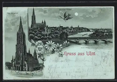Mondschein-Lithographie Ulm, Münster, Ortsansicht von Süden gesehen