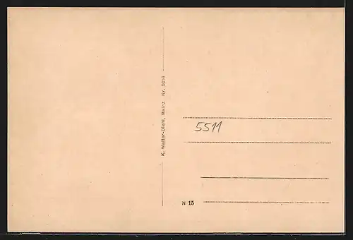 AK Forst Lohrerstrasse i. Spessart, Gasthaus Bischbornerhof