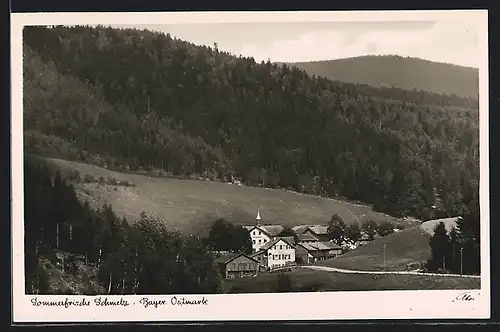 AK Schmelz /Bayer. Ostmark, Ortsansicht vor Waldgebiet