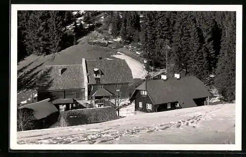 AK Leoben, Hochalmwirtshaus und Gasthof Göss im Schnee