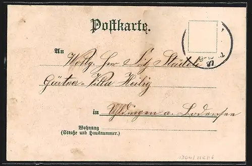 Lithographie Ulm, Saalbau, Rathaus, Panorama