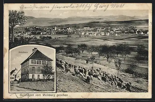 AK Geislingen, Teilansicht mit Schafherde vom Weinberg aus gesehen, Schulhaus
