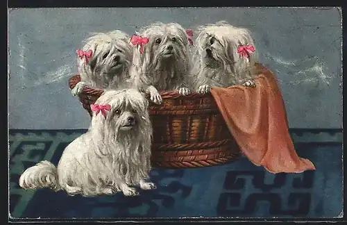 AK Vier Yorkshire-Terrier mit einem Körbchen