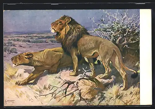 Künstler-AK Löwen pirschen sich im Schutz von Büschen an ihre Beute heran