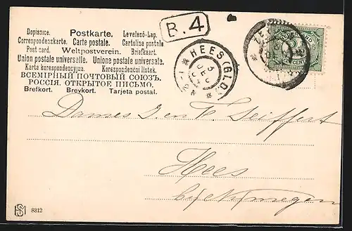 AK 3 Hunde auf einer Wiese im Wald