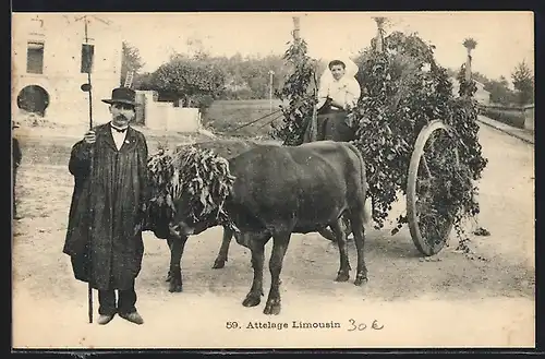 AK Attelgae Limousin, Mann mit einem Ochsengespann