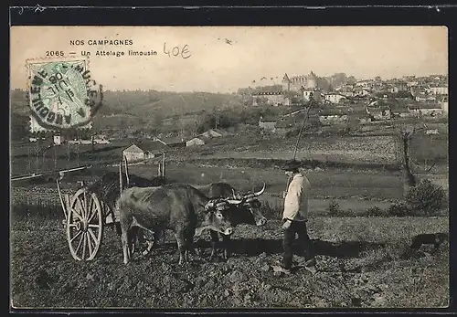 AK Nos Campagnes, Un Attelage limousin