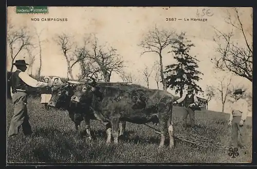 AK Nos Campagnes, Le Hersage