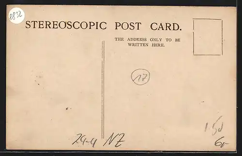 AK Tikitere /Rotorua, Geysir