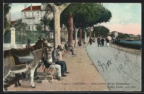 AK Cannes, Boulevard de la Croisette