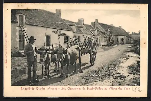 AK Brigueil-le-Chantre, Les Chaumières du Haut-Poitou au Village des Vaux