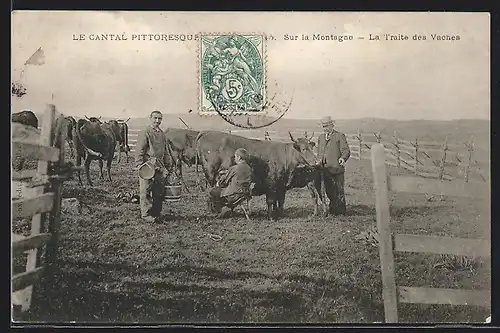 AK Auvergne, Le Cantal Pittoresque, Sur la Montagne, La Traite des Vaches