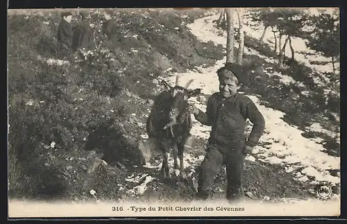 AK Auvergne, Type du Petit Chevrier des Cévennes