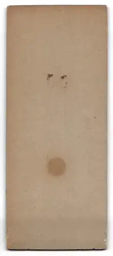 Fotografie G. Schwedes, Heide i. H., Hübsche Dame im weissen Kleid