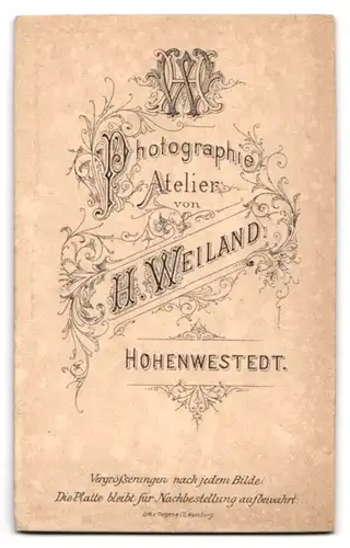 Fotografie H. Weiland, Hohenwestedt, Junger Herr im Anzug mit Fliege