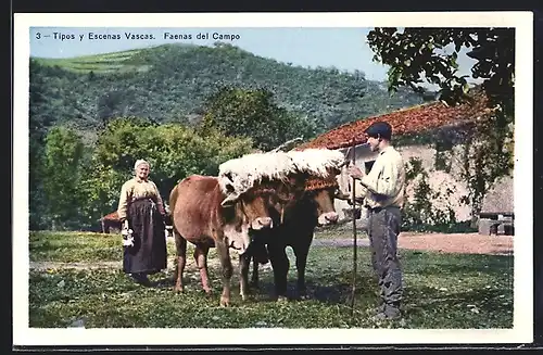 AK Tipos y Escenas Vascas, Faenas del Campo