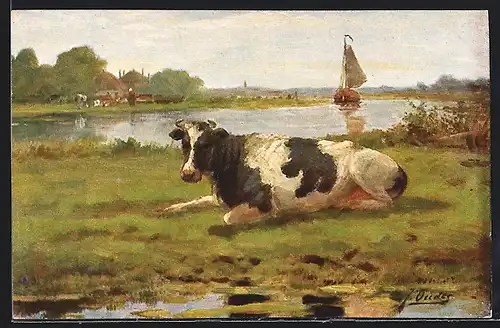 AK Kuh auf der Weide vor einem Gewässer