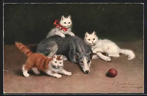 AK Drei junge Katzen mit einem grossen Hund