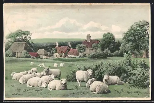 AK Schafe vor einer kleinen Ortschaft