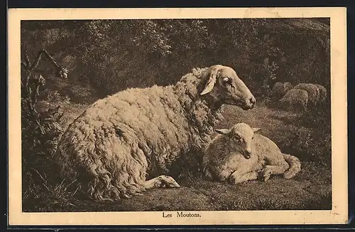 AK Mutterschaf mit Lamm