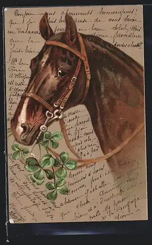 AK Pferd mit Glücksklee