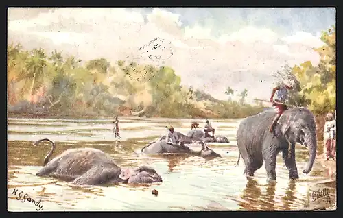AK Arbeitselefanten beim Bad in einem Fluss