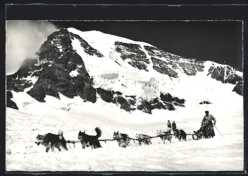 AK Jungfraujoch, Hundeschlitten mit Polarhunden, Mönch