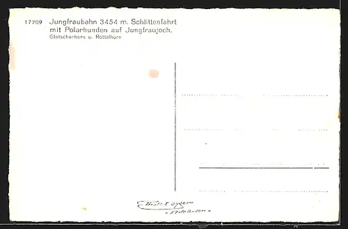 AK Jungfraujoch, Hundeschlitten mit Polarhunden, Gletscherhorn