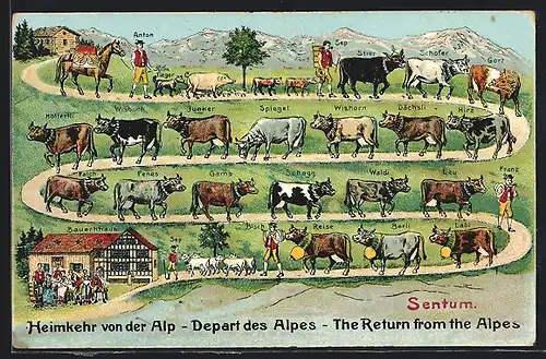 Lithographie Heimkehr von der Alp, Bauern mit Rinderherde
