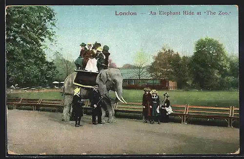 AK London, Zoo, Elefant trägt Menschen auf dem Rücken, Au Elephant Ride at the Zoo