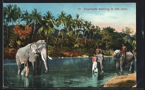 AK Elephants bathing in the river