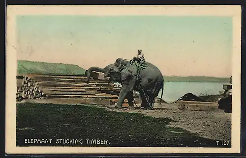 AK Elephant Stucking Timber