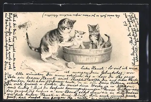 Präge-Lithographie Katzenmutter mit Kätzchen im Waschzuber