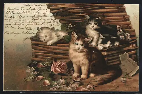 Künstler-AK Kleine Katzen in geflochtener Truhe