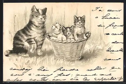 Lithographie Katze mit Jungen in Körbchen