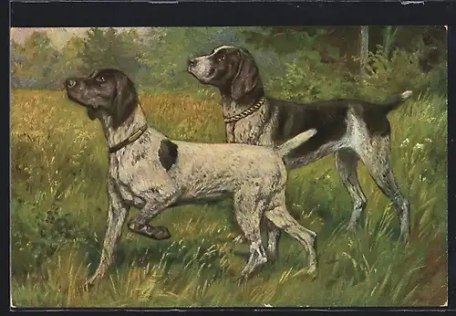 Künstler-AK Zwei Jagdhunde auf einer Wiese