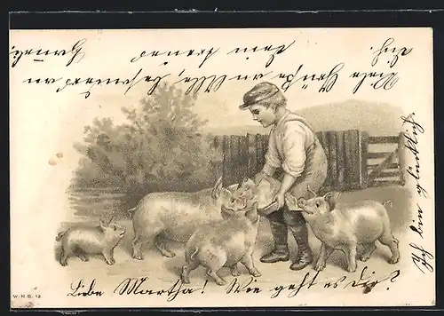 Präge-Lithographie Knabe beim Füttern der Schweine