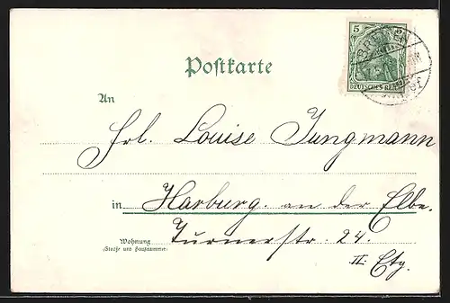 Lithographie Maikäfer auf Blättern, Pfingstgruss