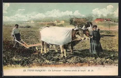 AK Bauer mit Ochsen-Gespann auf dem Feld