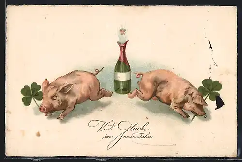 AK Schweine mit Glücksklee und Sektflasche, Neujahrsgruss