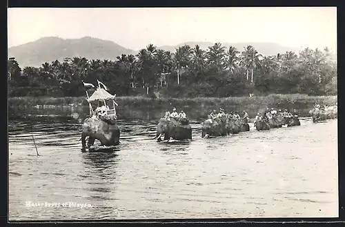 AK Chiang Mai, Elefanten im Fluss