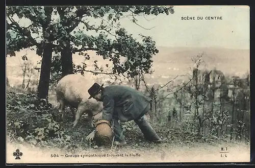AK Bauer mit einem Trüffelschwein sucht an einem Baum nach Pilz