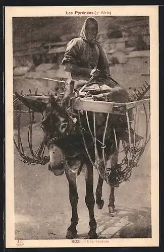 AK Les Pyrénées, Une Faneuse, Bäuerin mit Esel