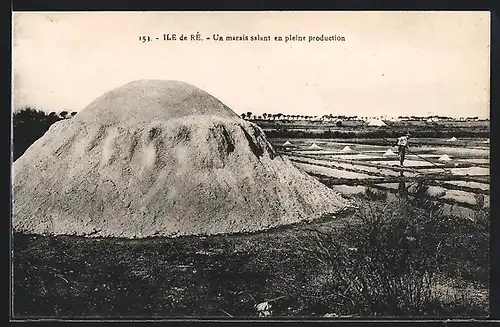 AK Ile de Ré, Un marais salant en pleine production