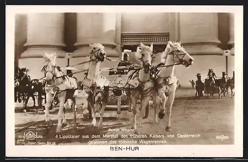 AK Ben-Hur, 4 Lippizianer aus dem Marstall des früheren Kaisers zu Österreich gewinnen das Wagenrennen