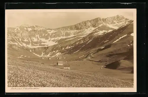 AK Malbun, Tal mit Blumenwiese und Bergen