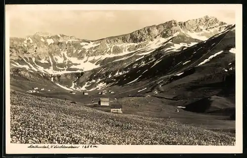 AK Malbun, Tal mit Wiese und Bergen